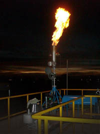 50 Nm3/hr biogas flare
